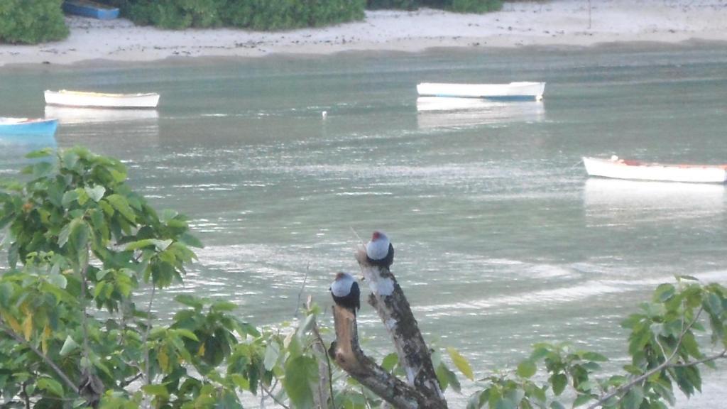 Bayview Villas Seychelles Anse Boileau Εξωτερικό φωτογραφία